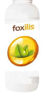 FOXILIS 1L GREEN