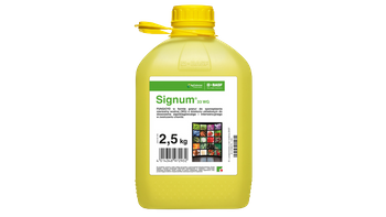 SIGNUM 33 WG 2,5 KG BASF