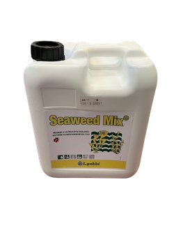 SEAWEED MIX ALGI 5,5KG