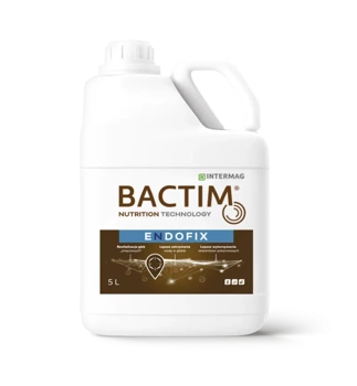 BACTIM ENDOFIX 1l INTERMAG